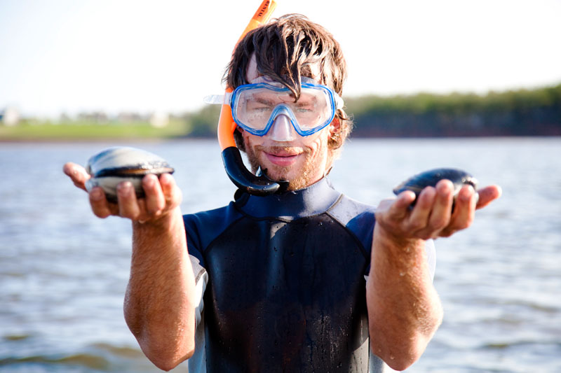 Mussel Farming in Tracadie Bay