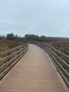 PEI National Park